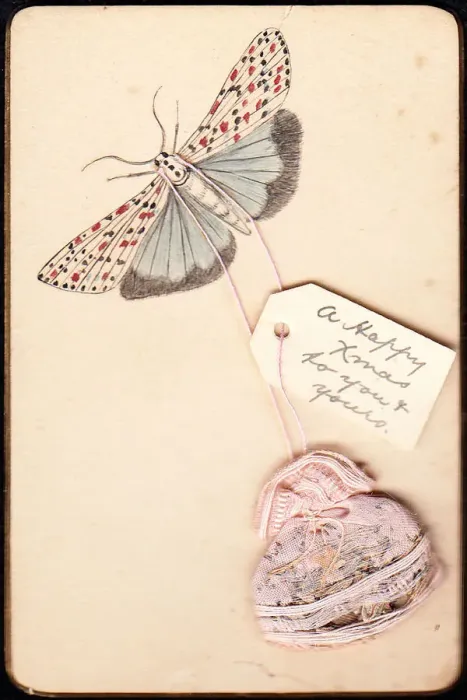 Framed Print : Moth on a handmade Christmas card Framed Print : Moth on a handmade Christmas card