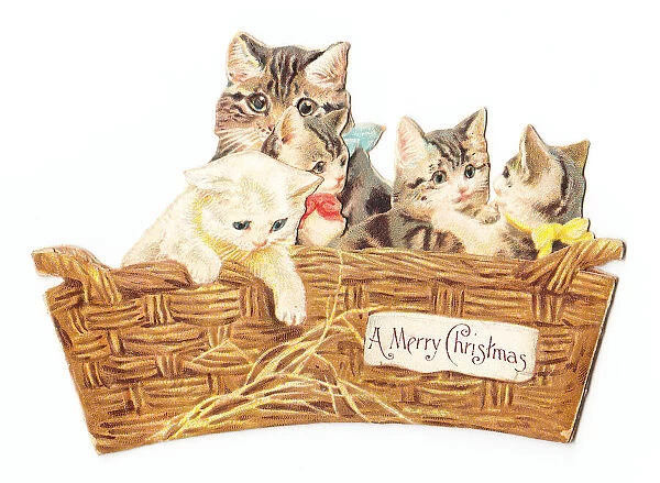 Mother cat and kittens in basket on a cutout Christmas card