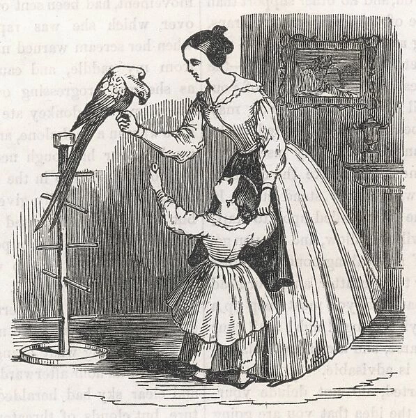 Mother, Child, Parrot