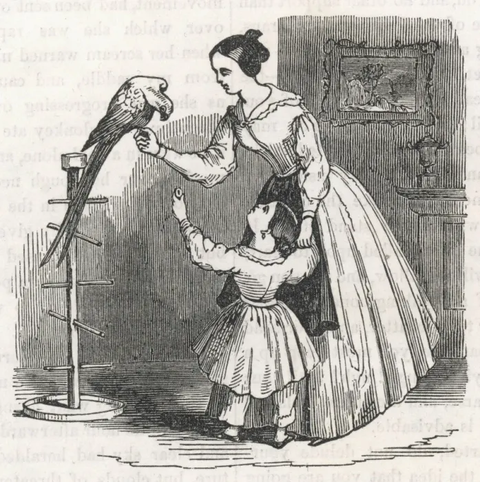 Framed Print : Mother, Child, Parrot Framed Print : Mother, Child, Parrot
