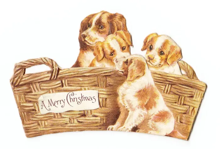 Framed Print : Mother dog and puppies in basket on a cutout Christmas card Framed Print : Mother dog and puppies in basket on a cutout Christmas card