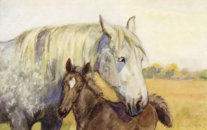Framed Print : Mother and foal Framed Print : Mother and foal