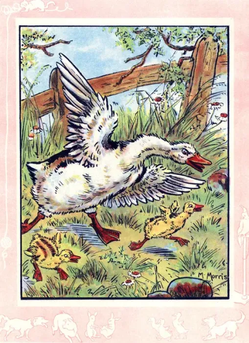 Framed Print : Mother goose and goslings in a fright Framed Print : Mother goose and goslings in a fright