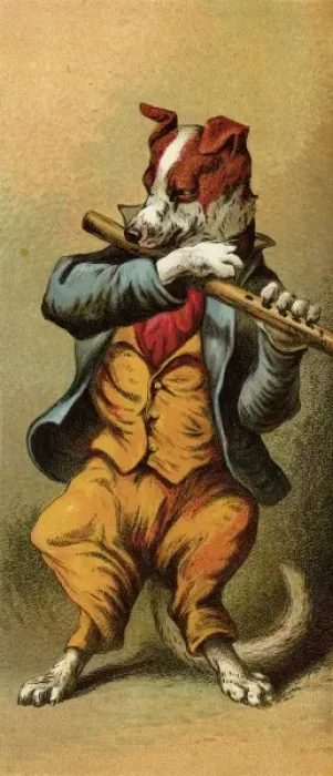 Framed Print : Mother Hubbard / Flute Framed Print : Mother Hubbard / Flute