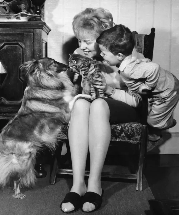 Framed Print : Mother and son with pet dog and kitten Framed Print : Mother and son with pet dog and kitten