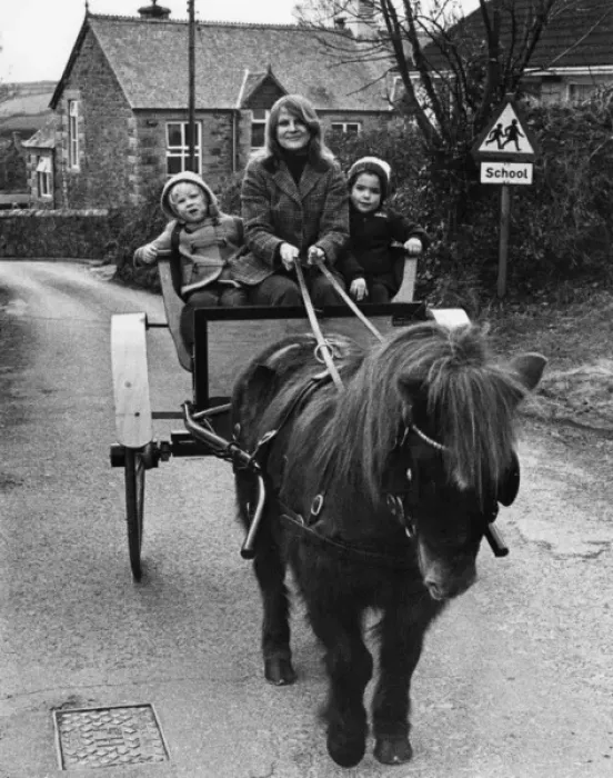 Framed Print : Mother taking children to school in pony and trap, Cornwall Framed Print : Mother taking children to school in pony and trap, Cornwall