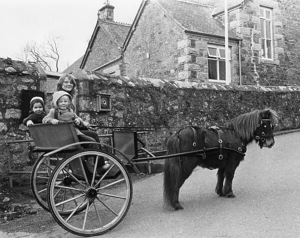 Mother taking children to school in pony and trap, Cornwall