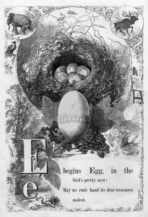 Framed Print : The Mothers Picture Alphabet -- E Framed Print : The Mothers Picture Alphabet -- E