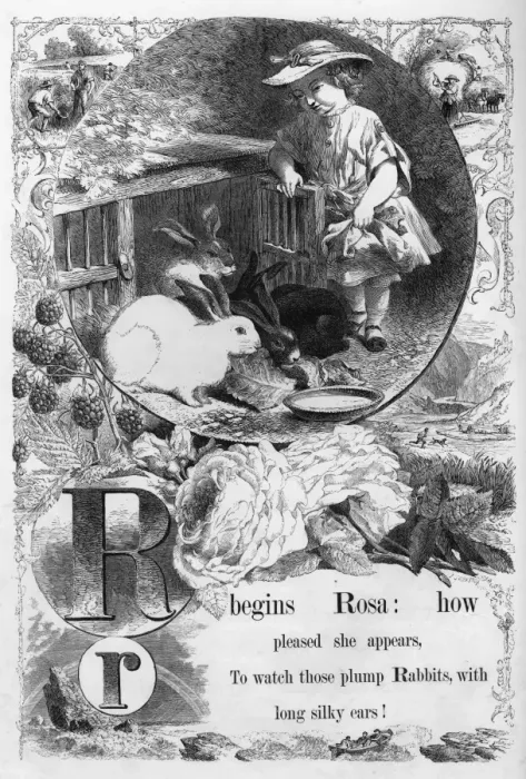 Framed Print : The Mothers Picture Alphabet -- R Framed Print : The Mothers Picture Alphabet -- R