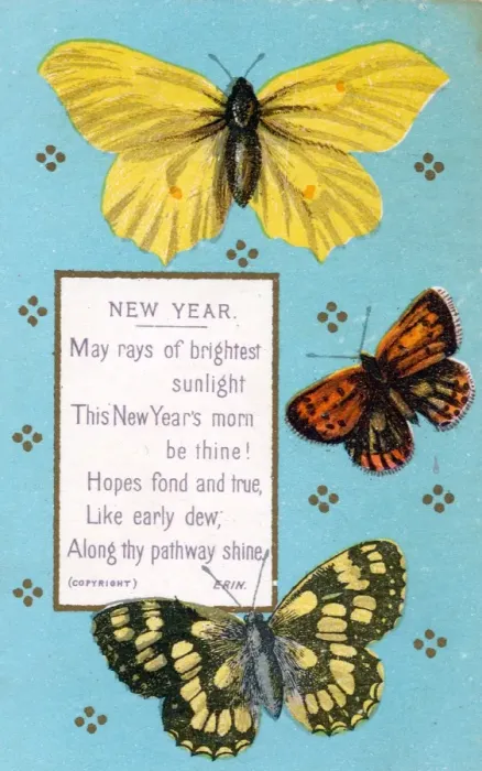 Framed Print : Three moths on a New Year card Framed Print : Three moths on a New Year card