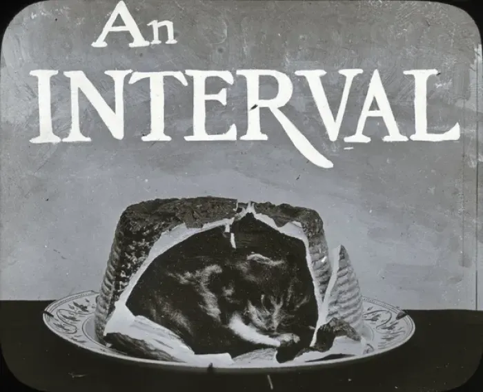 Framed Print : Mottos - Cat in Cake Interval Framed Print : Mottos - Cat in Cake Interval