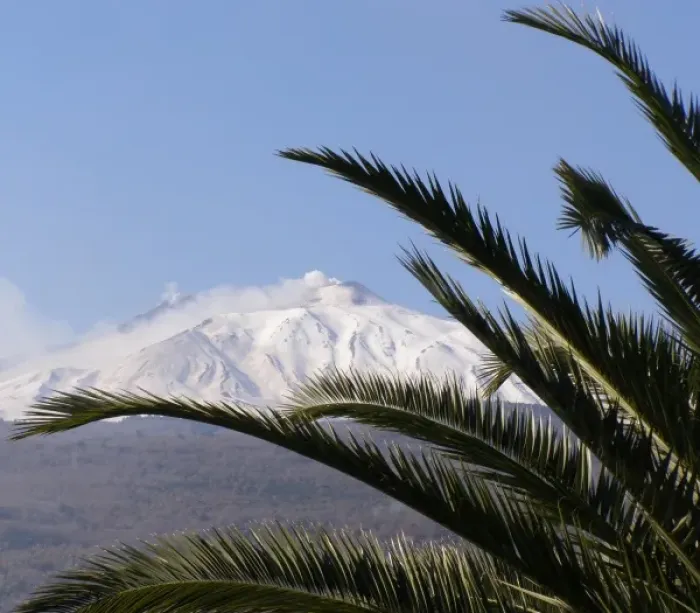 Framed Print : Mount Etna, with palm fronds, Sicily, Italy Framed Print : Mount Etna, with palm fronds, Sicily, Italy