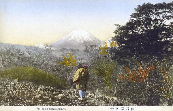 Mount Fuji, Japan - from Sengokubara