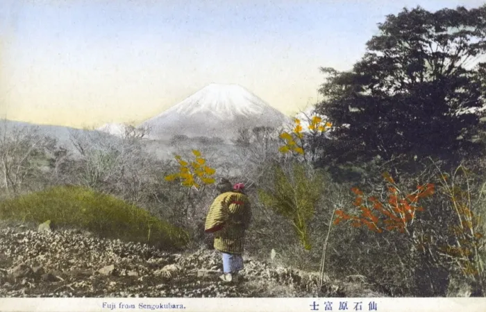 Framed Print : Mount Fuji, Japan - from Sengokubara Framed Print : Mount Fuji, Japan - from Sengokubara