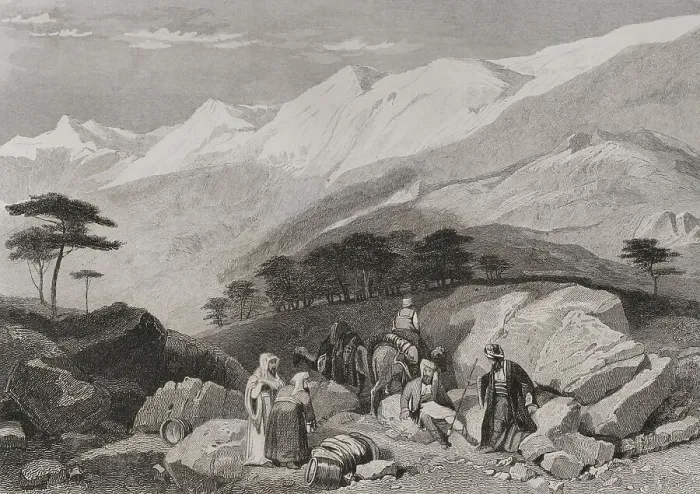 Framed Print : Mount Lebanon. Cedars. Engraving by Ransonnette Framed Print : Mount Lebanon. Cedars. Engraving by Ransonnette