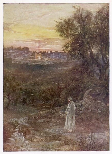 On Mount of Olives