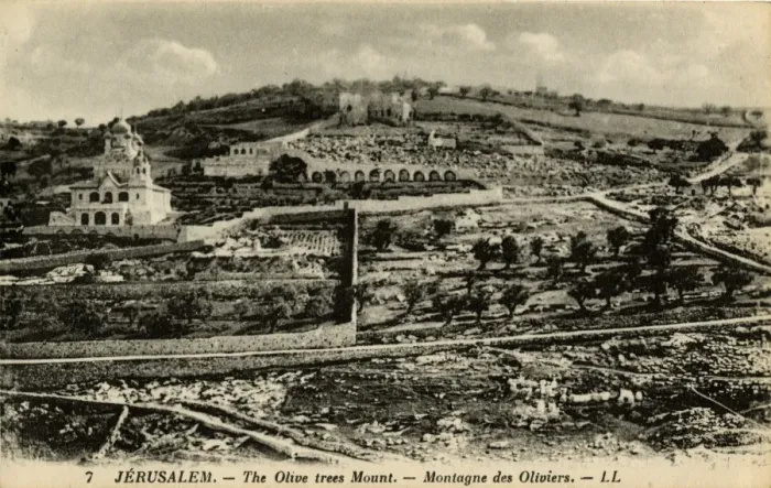 Framed Print : Mount of Olives, Jerusalem