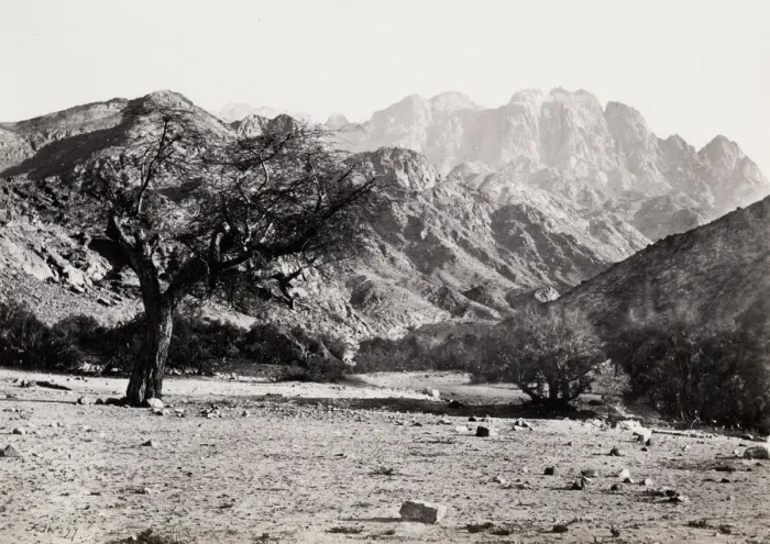 Framed Print : Mount Serbal from the Wadee Feyran, Wadi Feiran Framed Print : Mount Serbal from the Wadee Feyran, Wadi Feiran