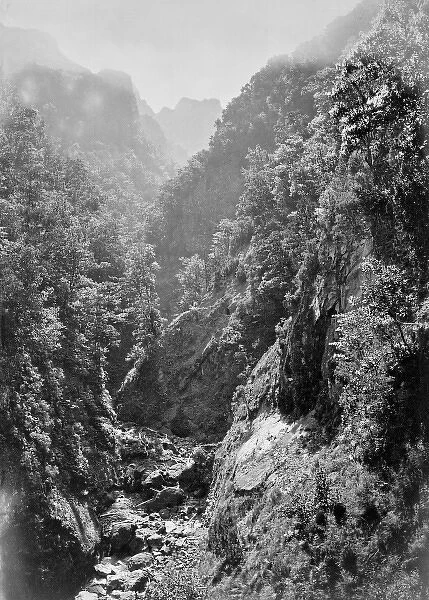 Mountain gorge, Madeira, Portugal, c. 1870