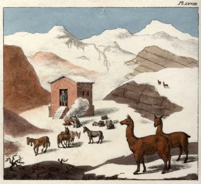 Framed Print : Mountain valley of Cuevas with llamas, Chile, South America Framed Print : Mountain valley of Cuevas with llamas, Chile, South America