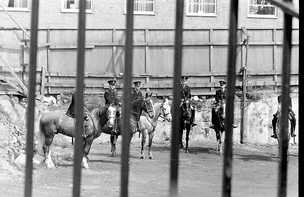 Mounted police officers, London, taking a break from the action during a political