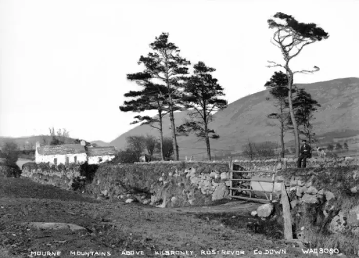 Framed Print : Mourne Mountains Above Kilbroney, Rostrevor, Co. Down Framed Print : Mourne Mountains Above Kilbroney, Rostrevor, Co. Down
