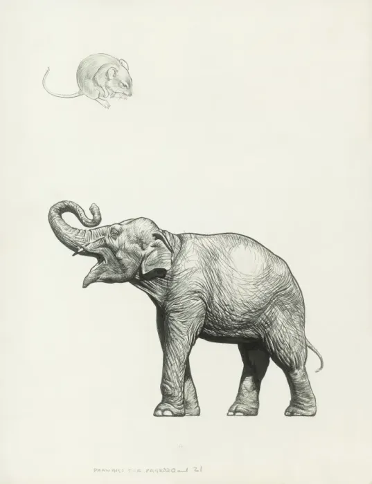 Framed Print : Mouse & Elephant Framed Print : Mouse & Elephant