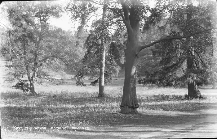 Framed Print : The Mower. This image captures a serene landscape featuring several trees in a grassy area Framed Print : The Mower. This image captures a serene landscape featuring several trees in a grassy area