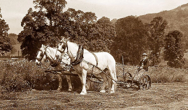 Mowing Date: 19th century