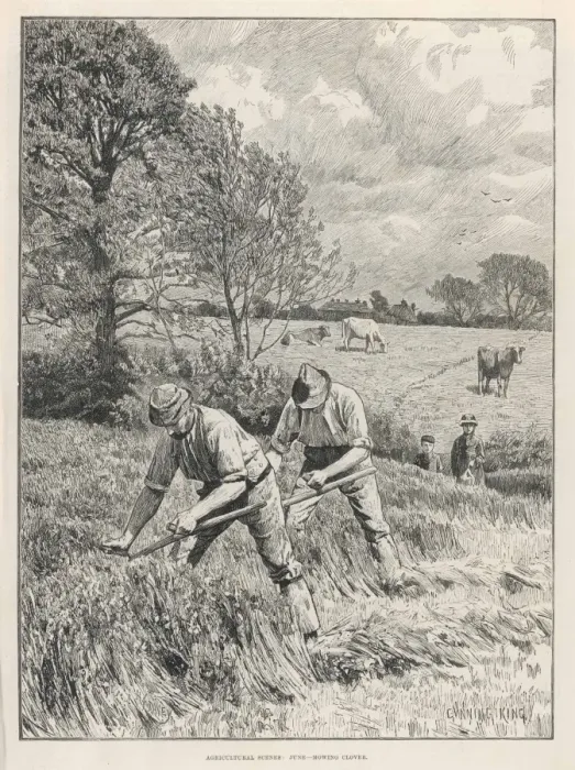 Framed Print : Mowing Clover Framed Print : Mowing Clover
