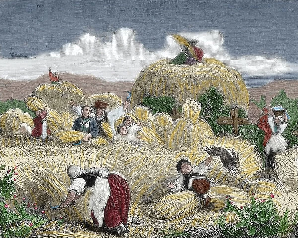 Mowing. Engraving, 19th century. Colored