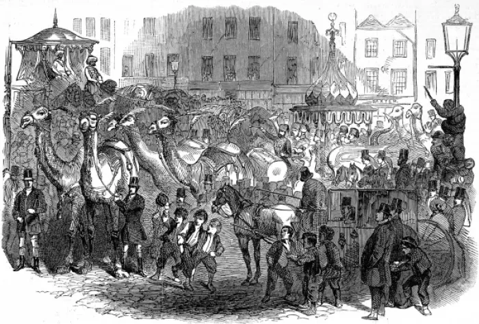 Framed Print : Mr. Hughes Mammoth Troupe moving through London, 1847 Framed Print : Mr. Hughes Mammoth Troupe moving through London, 1847