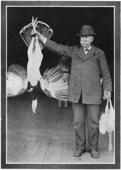 Framed Print : Mr. Roosevelts Turkey