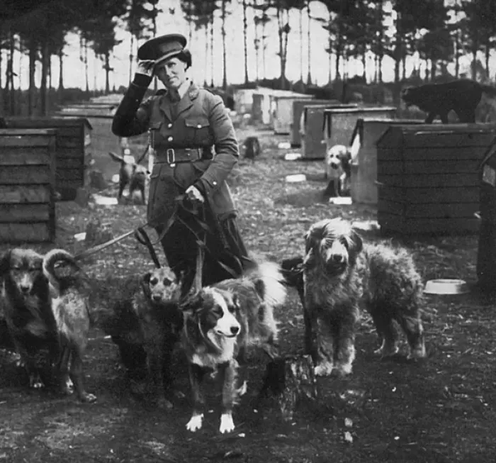 Framed Print : Mrs Richardson and her dog pupils, WW1 Framed Print : Mrs Richardson and her dog pupils, WW1