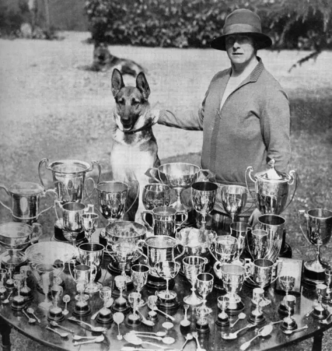 Framed Print : Mrs Thornton - breeder of champion Alsatians Framed Print : Mrs Thornton - breeder of champion Alsatians