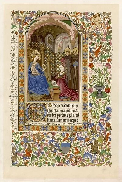Ms - Piedmontese Book