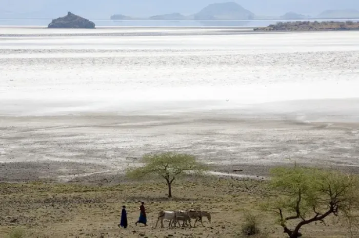 Framed Print : Msai moving with donkeys near lake Natron Framed Print : Msai moving with donkeys near lake Natron