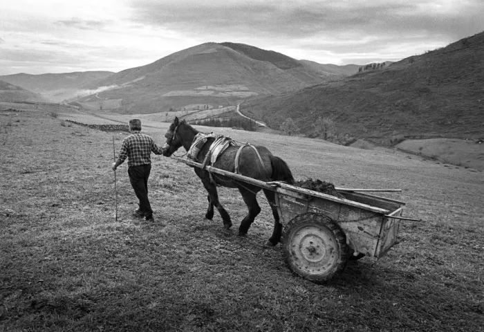 Framed Print : Muck cart, Cantabria, Spain - 1 Framed Print : Muck cart, Cantabria, Spain - 1