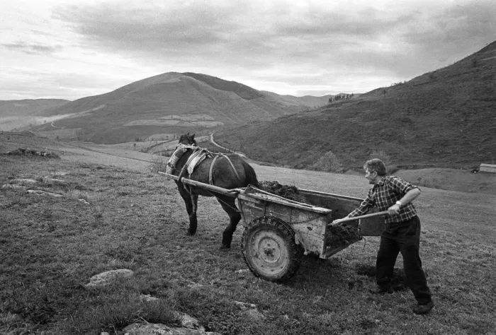 Framed Print : Muck cart, Cantabria, Spain - 2 Framed Print : Muck cart, Cantabria, Spain - 2