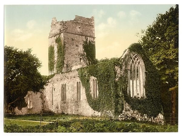 Muckross Abbey, Killarney. County Kerry, Ireland