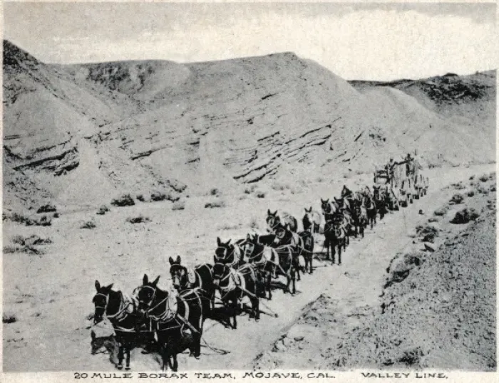 Framed Print : Twenty mule Borax team, Mojave, California