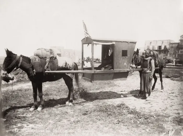 Framed Print : Mule drawn palanquin, sedan chair, carrying chair, Egypt Framed Print : Mule drawn palanquin, sedan chair, carrying chair, Egypt