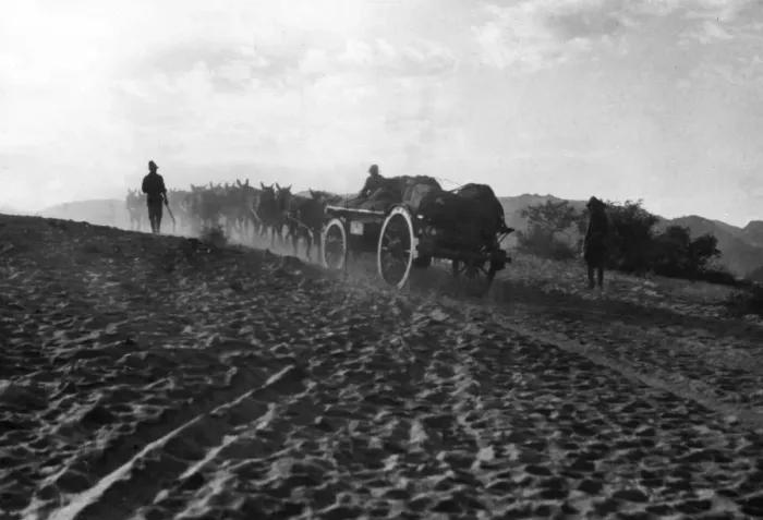 Framed Print : Mule wagons crossing desert, South Africa, WW1 Framed Print : Mule wagons crossing desert, South Africa, WW1