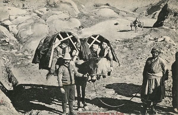 Mules carry children in pannier seats