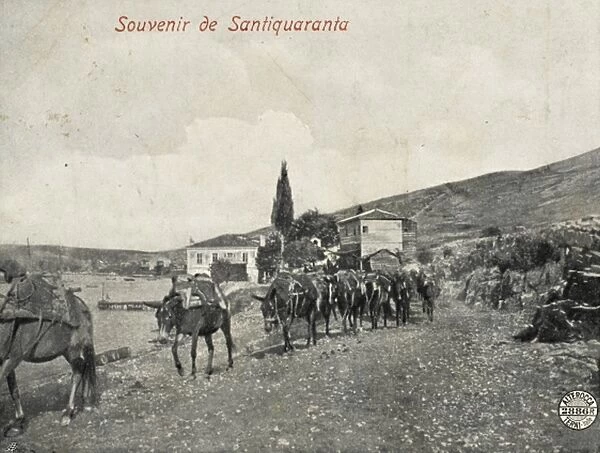 Mules being led from Santi Quaranta to Ioannina