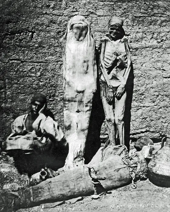 Framed Print : Three mummies, Egypt Framed Print : Three mummies, Egypt
