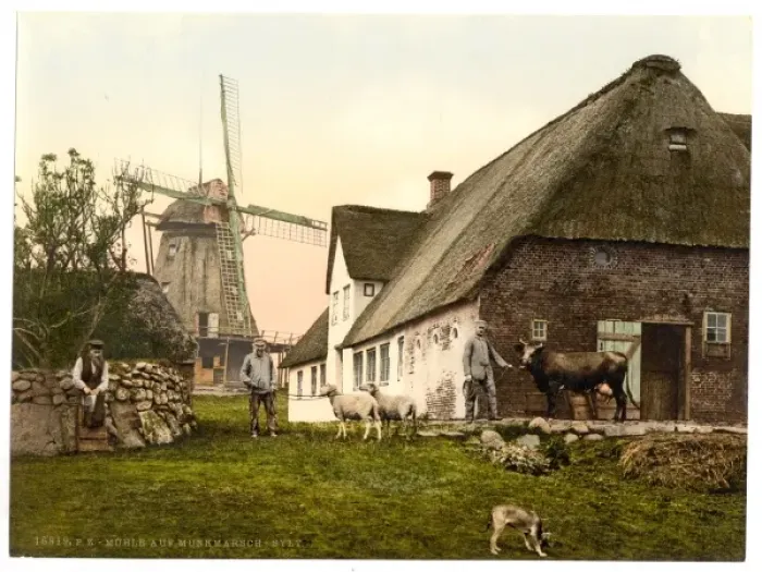 Framed Print : The mill at Munkmarsch, Sylt, Schleswig-Holstein, Germany Framed Print : The mill at Munkmarsch, Sylt, Schleswig-Holstein, Germany