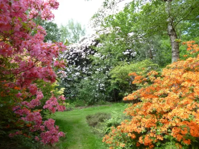Framed Print : Munstead Wood and Gardens - home of Gertrude Jekyll Framed Print : Munstead Wood and Gardens - home of Gertrude Jekyll