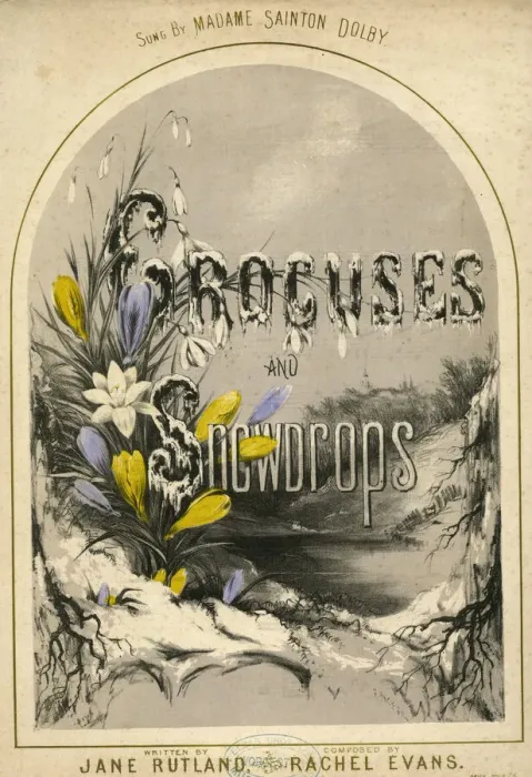 Framed Print : Music cover, Crocuses and Snowdrops Framed Print : Music cover, Crocuses and Snowdrops