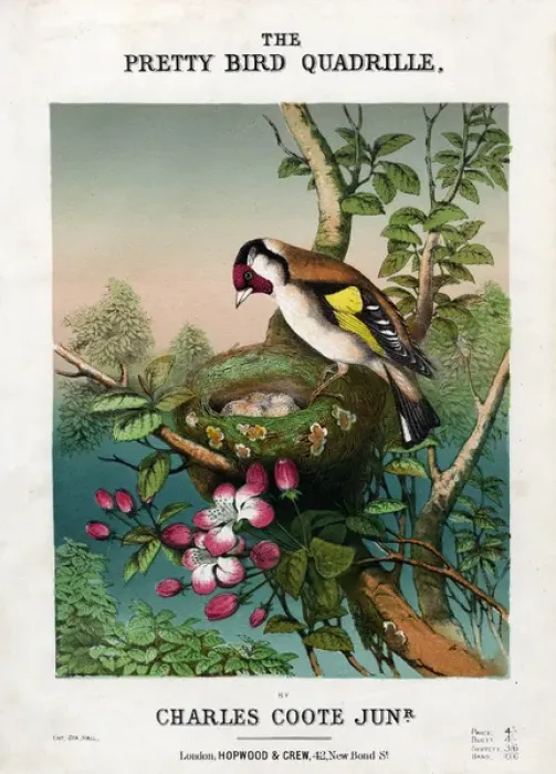 Framed Print : Music cover, Pretty Bird Quadrille Framed Print : Music cover, Pretty Bird Quadrille